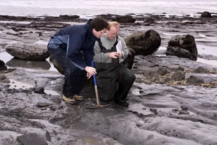 Framed Print : Excavating at Charmouth Framed Print : Excavating at Charmouth