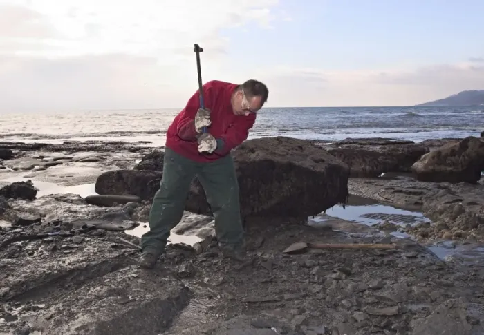 Framed Print : Excavating at Charmouth Framed Print : Excavating at Charmouth