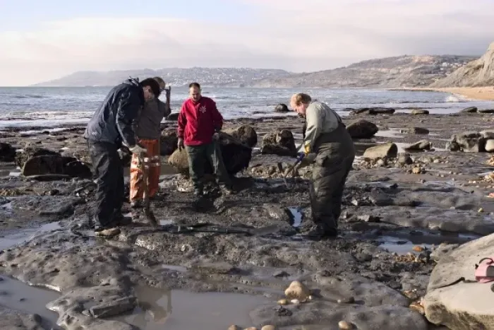 Framed Print : Excavating at Charmouth Framed Print : Excavating at Charmouth