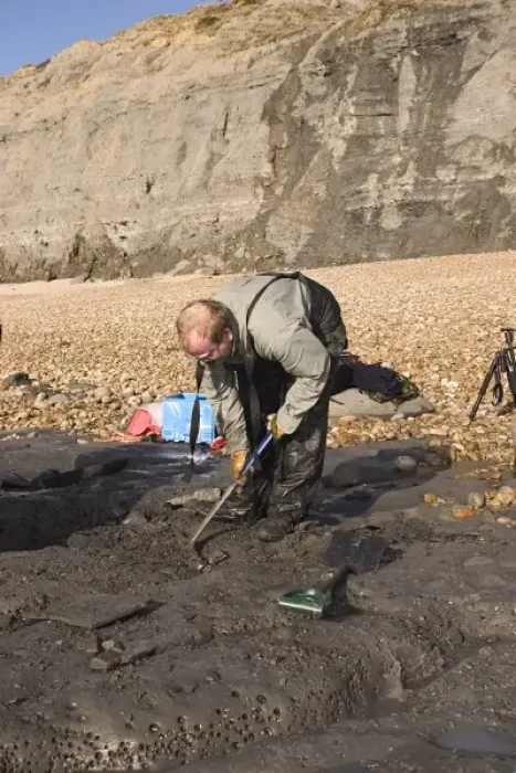 Framed Print : Excavating at Charmouth Framed Print : Excavating at Charmouth