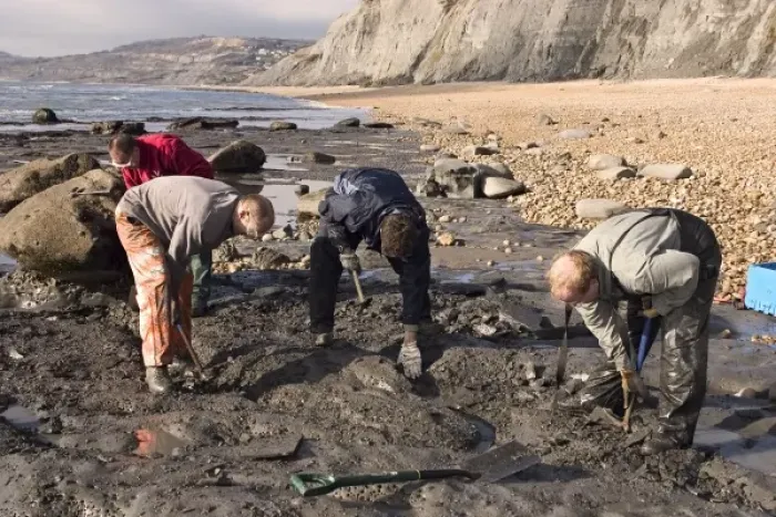 Framed Print : Excavating at Charmouth Framed Print : Excavating at Charmouth