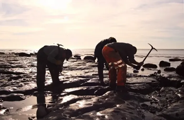 Framed Print : Excavating at Charmouth Framed Print : Excavating at Charmouth