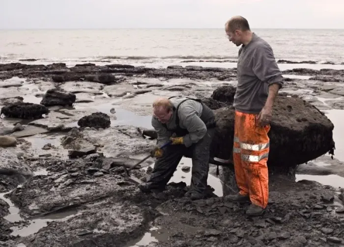 Framed Print : Excavating at Charmouth Framed Print : Excavating at Charmouth