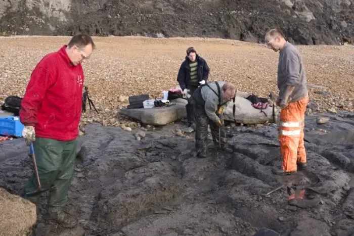 Framed Print : Excavating at Charmouth Framed Print : Excavating at Charmouth