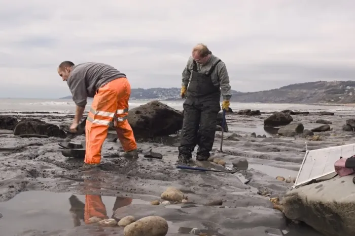 Framed Print : Excavating at Charmouth Framed Print : Excavating at Charmouth