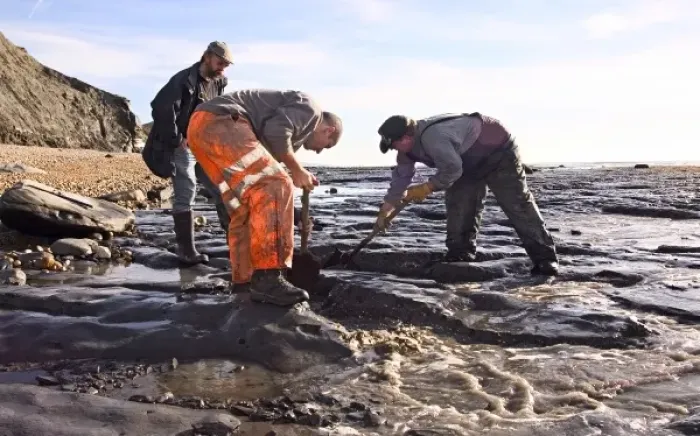 Framed Print : Excavating at Charmouth Framed Print : Excavating at Charmouth