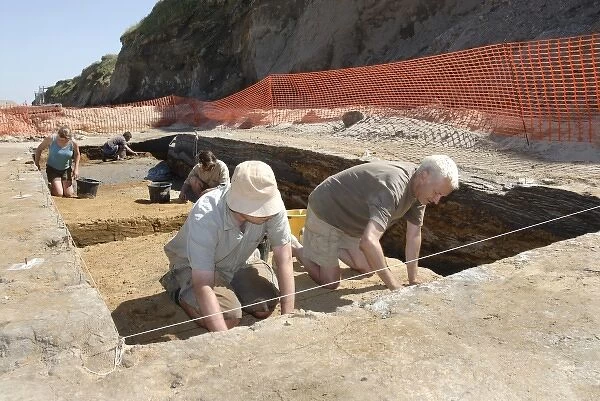 Excavations, Norfolk 2006