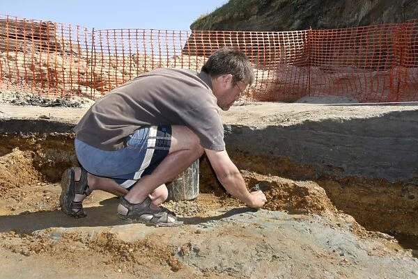 Excavations, Norfolk 2006