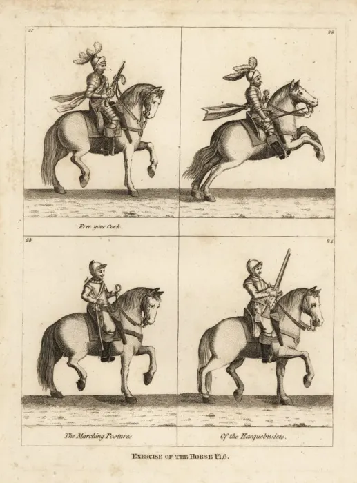 Framed Print : Exercise of the horse Framed Print : Exercise of the horse