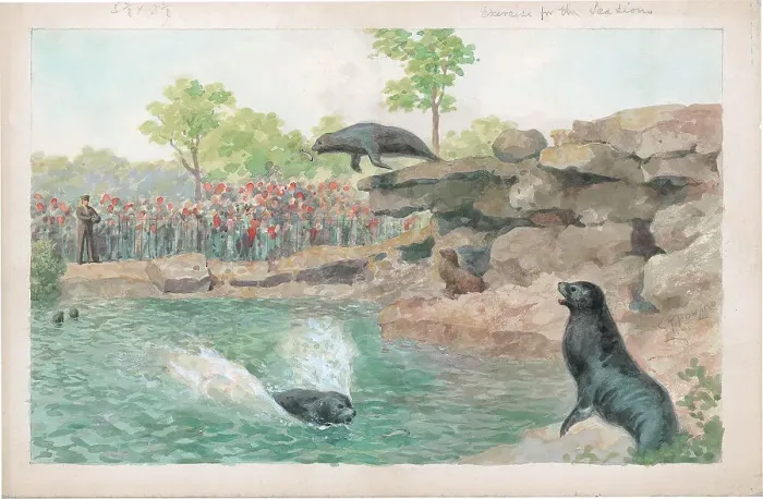 Framed Print : Exercise for the Sea Lions at London Zoo Framed Print : Exercise for the Sea Lions at London Zoo
