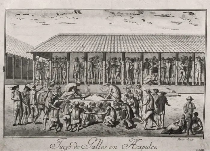 Framed Print : Expedition of Malaspina. Acapulco. Cock fightings Framed Print : Expedition of Malaspina. Acapulco. Cock fightings