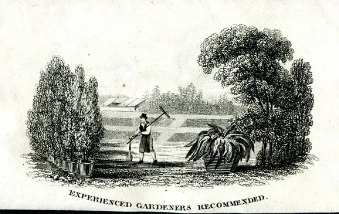 Framed Print : Experienced Gardeners Recommended Framed Print : Experienced Gardeners Recommended
