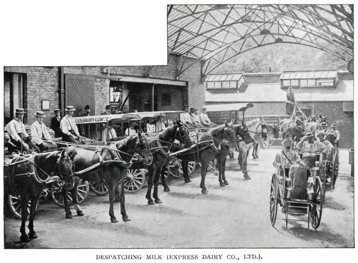 Framed Print : Express Dairy - despatching milk 1902 Framed Print : Express Dairy - despatching milk 1902