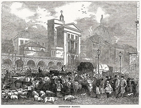 Exterior view of Smithfield Meat Market in London. In this busy street scene one can see sheep, pigs and cattle, on their way for sale. Date: 1848