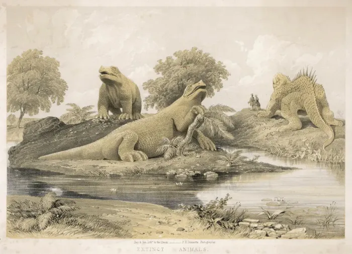 Framed Print : Extinct Animals Carved Framed Print : Extinct Animals Carved