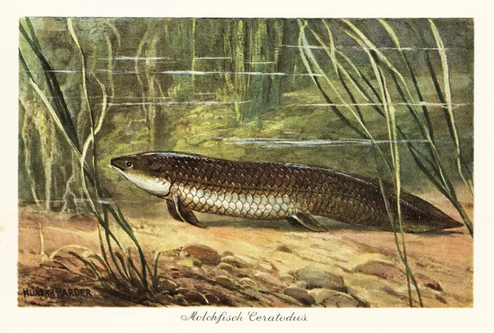 Framed Print : Extinct Ceratodus latissimus among reeds on the ocean floor Framed Print : Extinct Ceratodus latissimus among reeds on the ocean floor