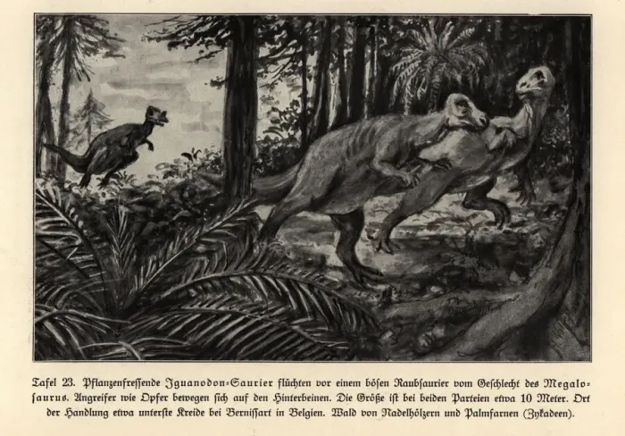 Framed Print : Extinct Iguanodons fleeing a predatory Megalosaurus