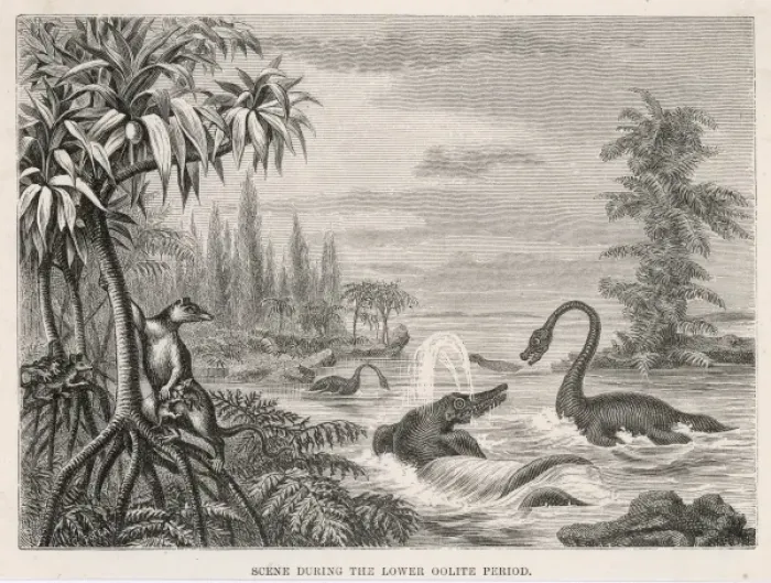 Framed Print : Extinct Plesiosaur Framed Print : Extinct Plesiosaur