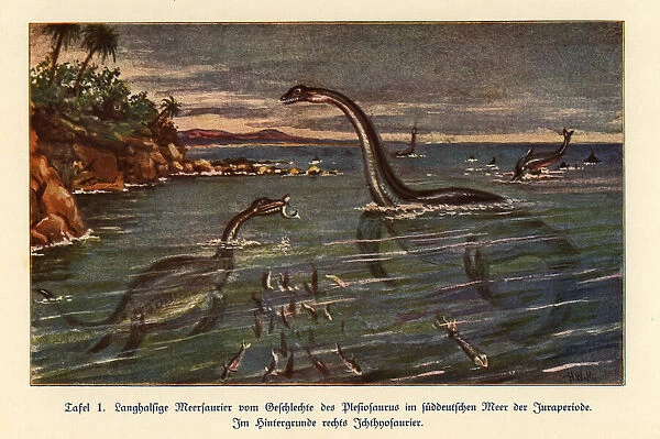 Extinct Plesiosaurs and Ichthyosaur