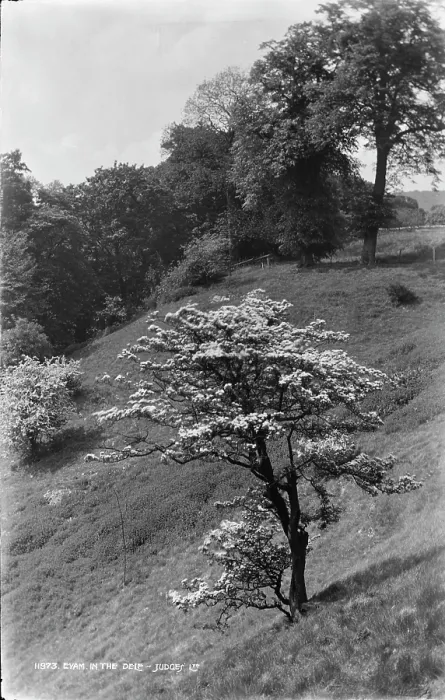 Framed Print : Eyam in the Dale Framed Print : Eyam in the Dale