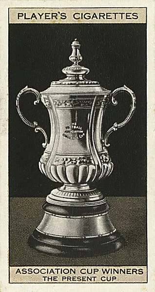 The FA Cup trophy (the present cup)