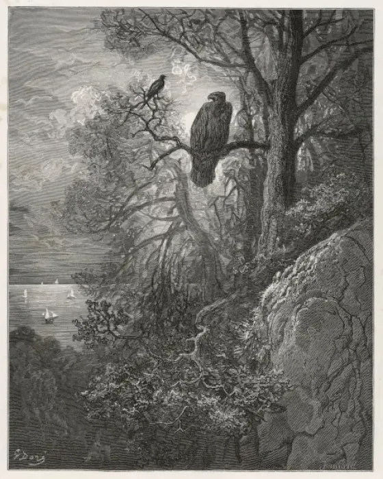 Framed Print : Fable / Eagle & Magpie Framed Print : Fable / Eagle & Magpie