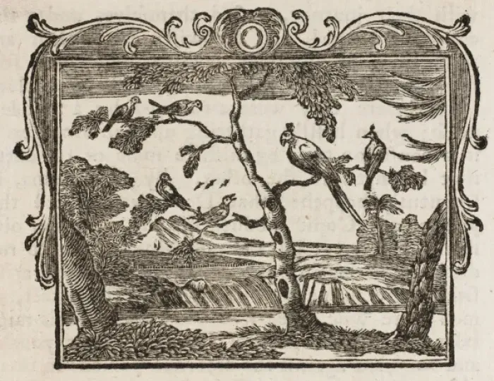 Framed Print : Fable / the Mock-Bird Framed Print : Fable / the Mock-Bird