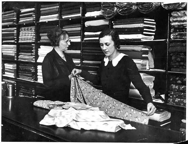 Fabric Shop Assistant