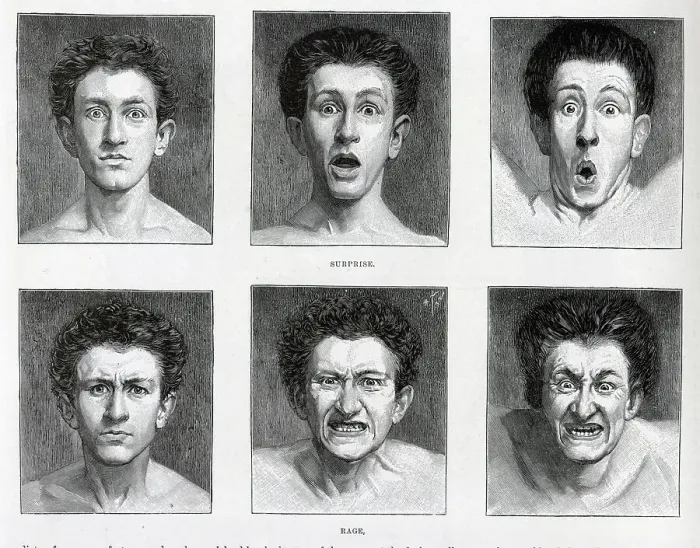 Framed Print : Facial Contortions, 6 illustrations, Surprise and Rage Framed Print : Facial Contortions, 6 illustrations, Surprise and Rage
