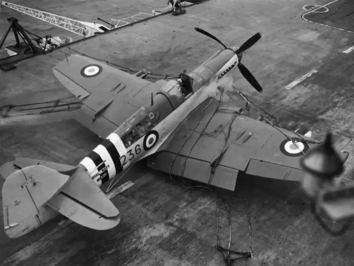 Framed Print : Fairey Firefly Framed Print : Fairey Firefly