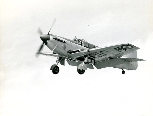 Fairey Firefly FR4, WJ106
