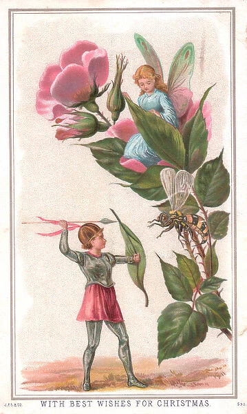 Fairies with flower and insect on a Christmas card