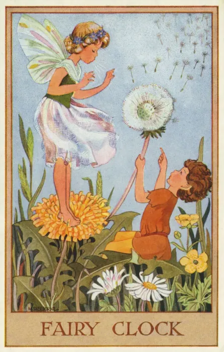 Framed Print : Fairies & flowers