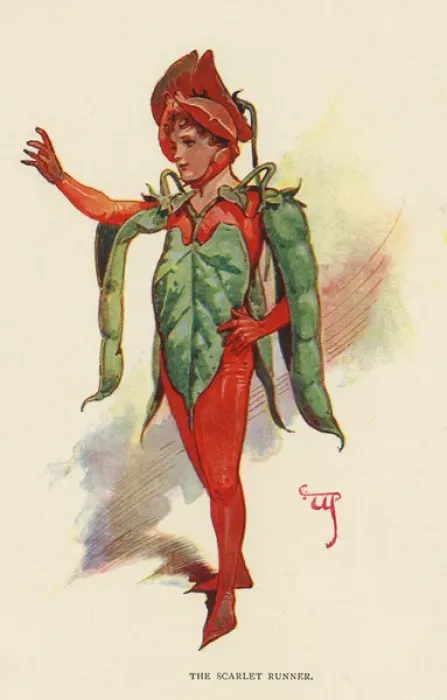 Framed Print : Fairies of the Garden - The Scarlet Runner Framed Print : Fairies of the Garden - The Scarlet Runner