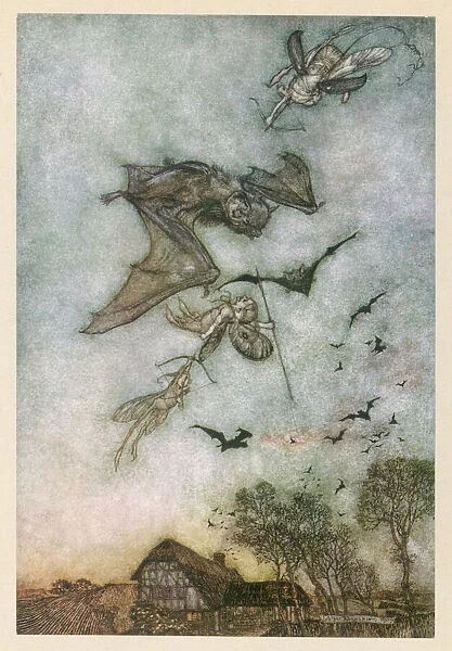 Fairies Hunt Bats. Bats are hunted by fairies for their wings
