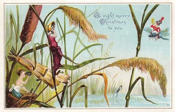 Fairies in the rushes on a Christmas card