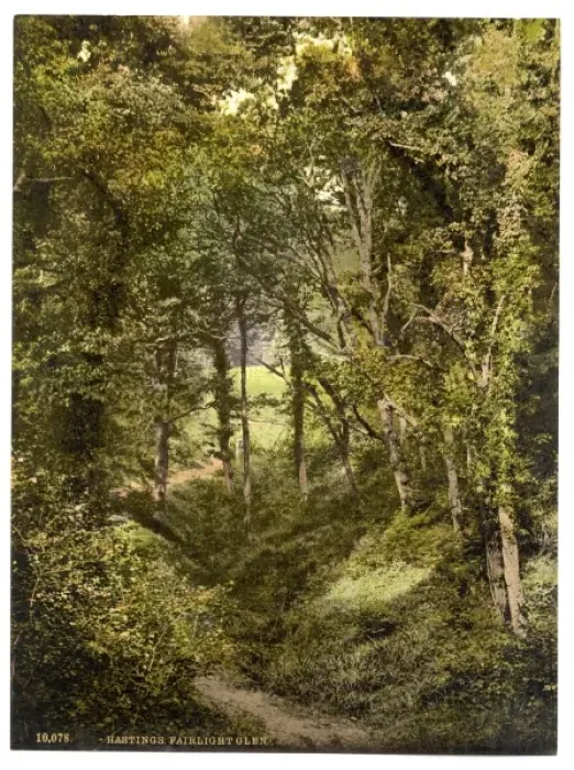 Framed Print : Fairlight Glen, Hastings, England