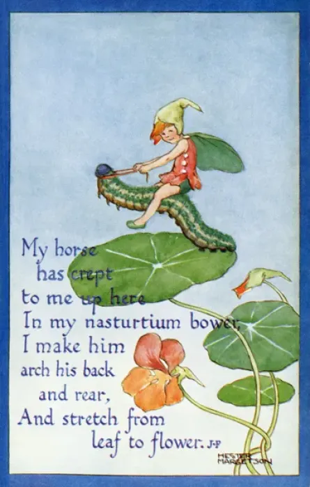 Framed Print : Fairy on a caterpillar Framed Print : Fairy on a caterpillar