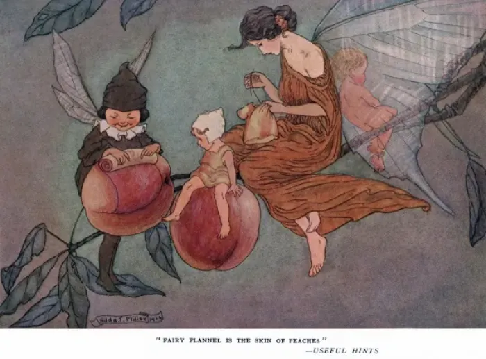 Framed Print : Fairy flannel is the skin of peaches Framed Print : Fairy flannel is the skin of peaches