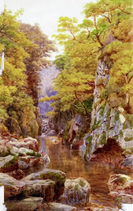 Framed Print : Fairy Glen, Betws y Coed, Conwy, Wales Framed Print : Fairy Glen, Betws y Coed, Conwy, Wales