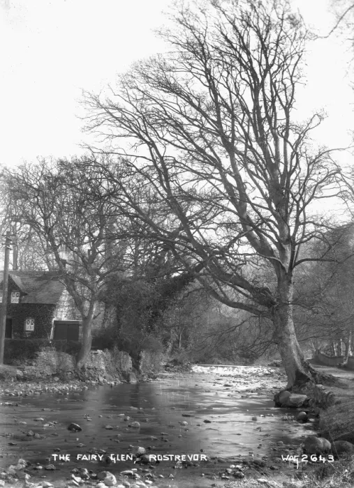 Framed Print : The Fairy Glen, Rostrevor Framed Print : The Fairy Glen, Rostrevor