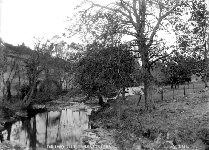 Framed Print : The Fairy Glen, Rostrevor Framed Print : The Fairy Glen, Rostrevor