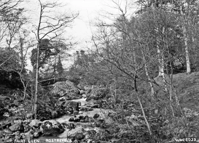 Framed Print : Fairy Glen, Rostrevor Framed Print : Fairy Glen, Rostrevor
