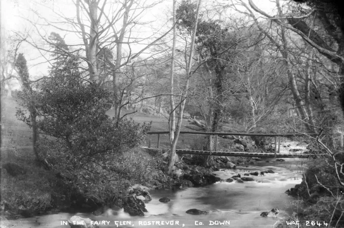 Framed Print : In the Fairy Glen, Rostrevor, Co. Down Framed Print : In the Fairy Glen, Rostrevor, Co. Down
