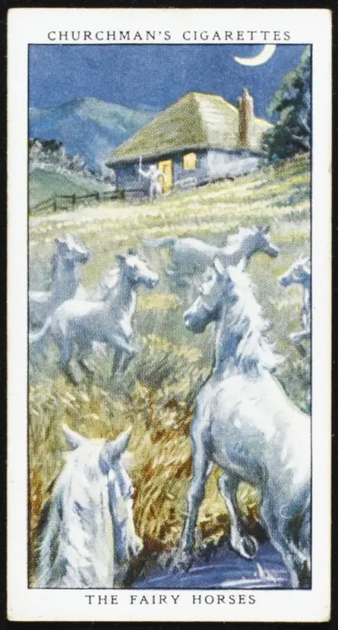 Framed Print : Fairy Horses Framed Print : Fairy Horses