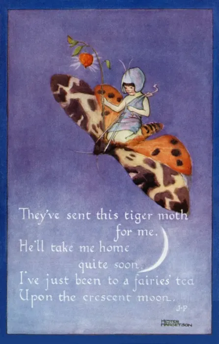 Framed Print : Fairy on a moth Framed Print : Fairy on a moth