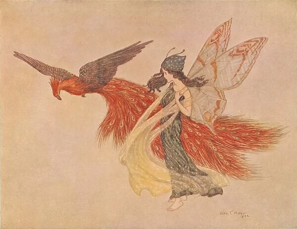 Fairy and phoenix by Hilda Miller