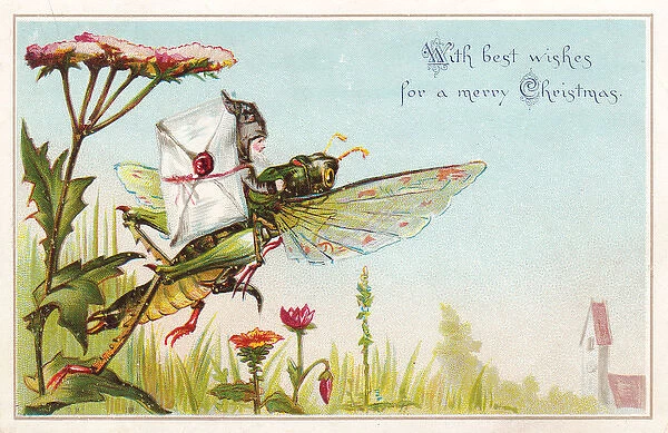 Fairy postman riding grasshopper on a Christmas card