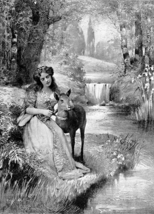 Framed Print : Fairy stories by photography; Grimms stories illustrated Framed Print : Fairy stories by photography; Grimms stories illustrated