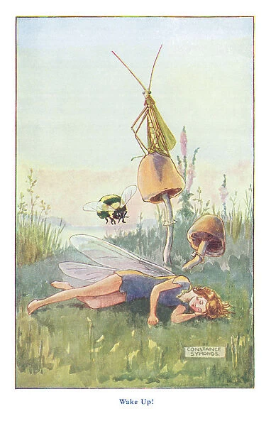Fairyland. Sleeping fairy awakened by a grasshopper and bumble bee